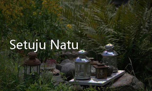 Setuju Naturalisasi Ragnar, Thom Haye dan Maarten Paes, DPR: Berdasarkan Ketentuan Perundang
