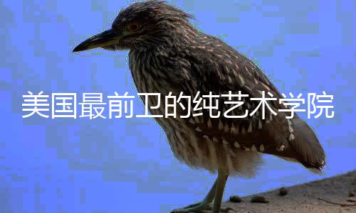 美国最前卫的纯艺术学院——加州艺术学院CalArts！