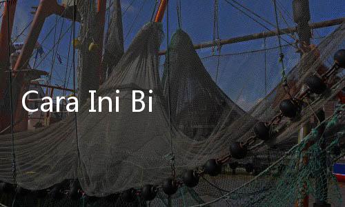 Cara Ini Bisa Mengatasi Tembok Berjamur dengan Cepat