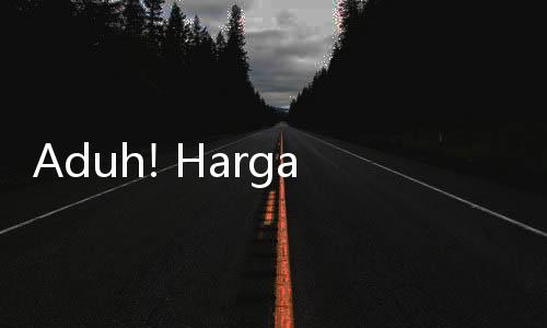 Aduh! Harga Bawang Merah Melambung Tinggi, Rakyat Mulai Menjerit