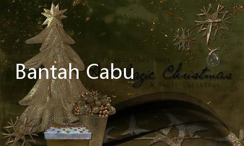 Bantah Cabut Sawit Warga di Siak, Dirut PT SSL Singgung Sosok Bos Sawit Chimpo