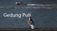 Gedung Putih Sebut Pekan Ini Bisa Jadi Penentu Kelanjutan Perang Dagang China