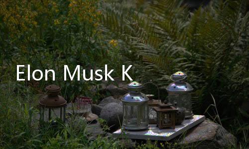 Elon Musk Kembali Bekerja 24/7 Usai Gangguan Besar di Platform X
