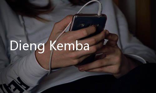 Dieng Kembali Membeku, Muncul Embun Es Pagi Ini