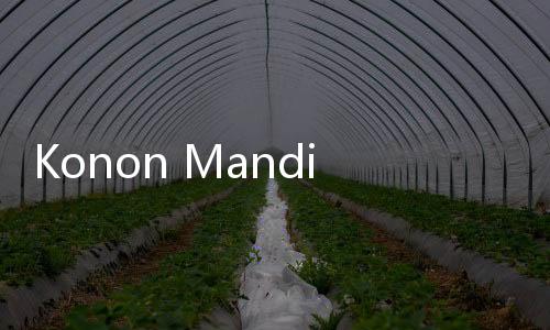 Konon Mandi dengan Kloset Terbuka Bisa Bikin Jerawatan, Ini Faktanya