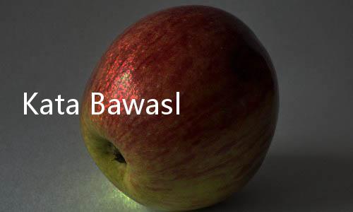 Kata Bawaslu saat Hendak Awasi Silon KPU : Maaf Akun Anda Tidak Mempunyai Akses Login