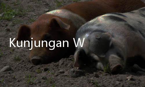 Kunjungan Wisman ke RI pada 2024 Pecah Rekor, Tertinggi dalam 5 Tahun