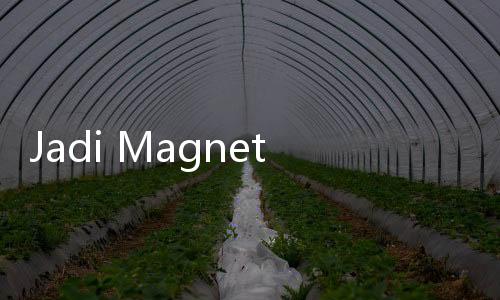 Jadi Magnet Turis, Bangkai Kapal Ikonik di Yunani Terancam Hanyut