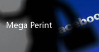 Mega Perintis (ZONE) Putuskan Stop Operasional Mitrelindo Demi Efisiensi