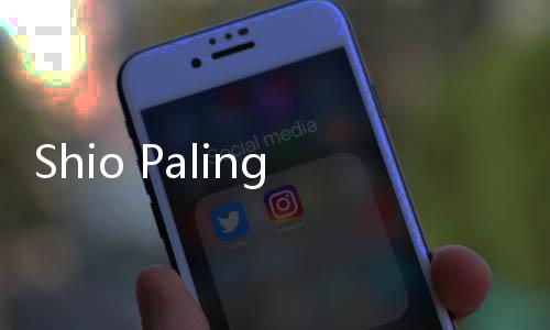 Shio Paling Hoki di Tahun Ular Kayu 2025