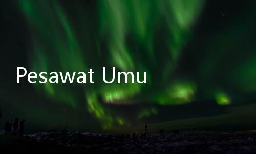 Pesawat Umum vs Jet Pribadi, Mana yang Paling Aman untuk Ibu Hamil?