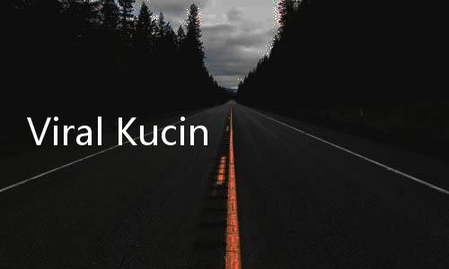 Viral Kucing Bisa Tos di Kuil Xiyuan China Bikin Ribuan Orang Antre