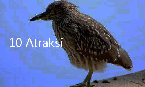 10 Atraksi Wisata Paling Membosankan di Dunia