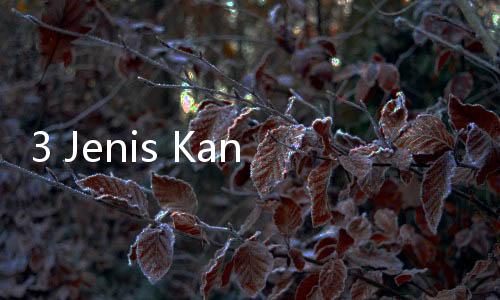 3 Jenis Kanker yang Paling Banyak Diidap di Dunia